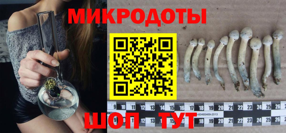 Подольск  Псилоцибиновые грибы Psilocybe  Вход с VPN 