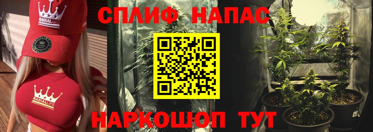 Конопля AK-47  Канабис ГИДРОПОН  Конопля гибрид  Подольск  Вход с VPN 